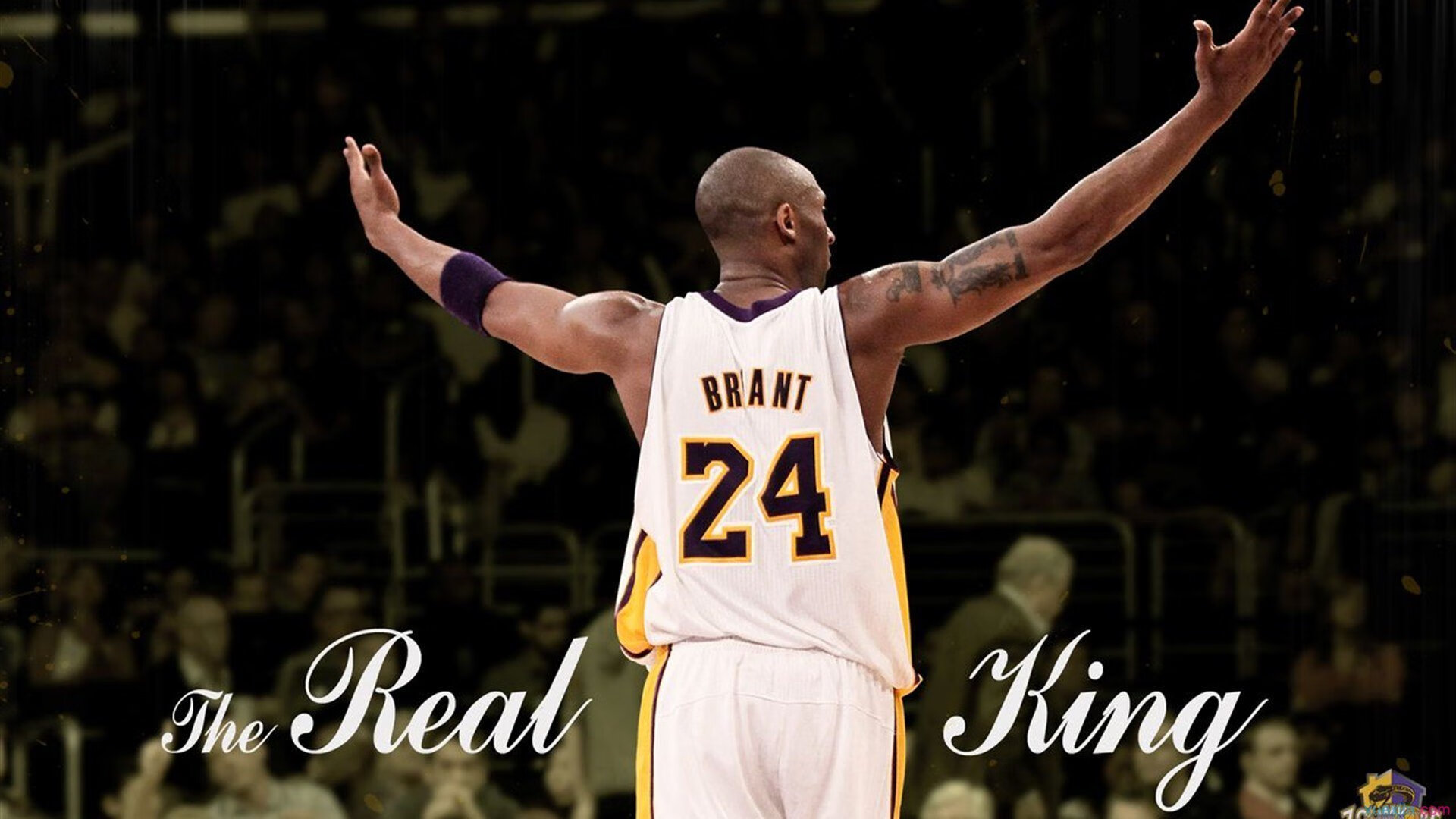 库里投中制胜三分全场沸腾欢呼,库里投全场三分视频