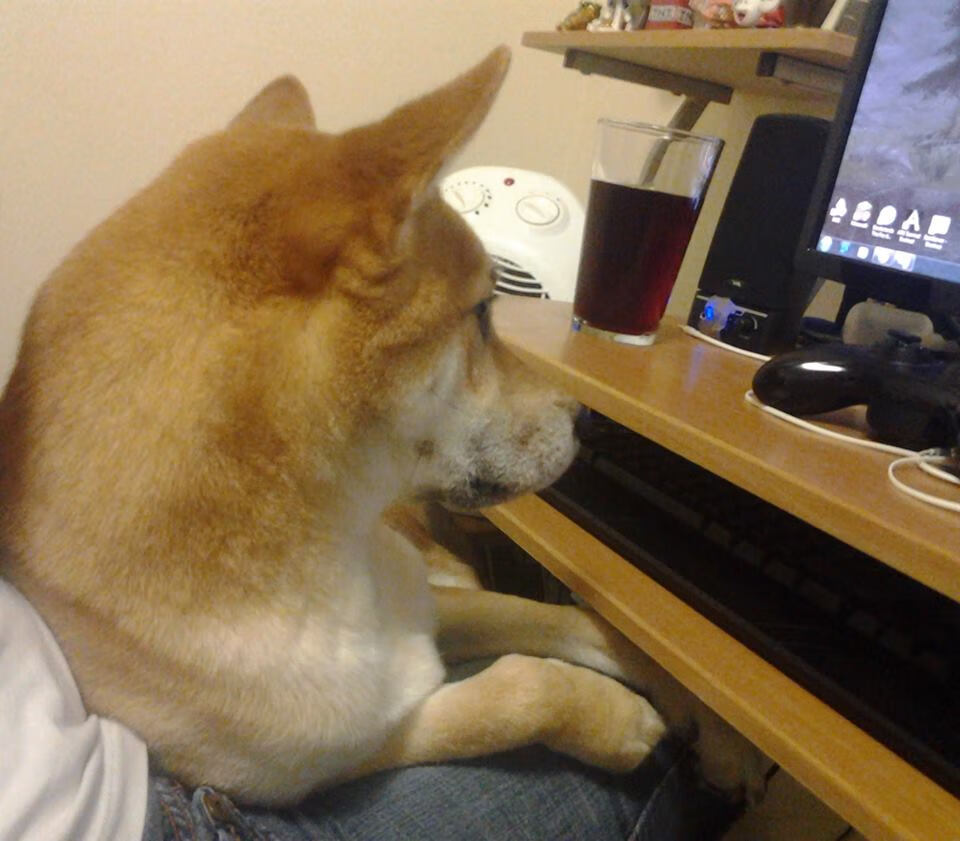 开云体育官方网站登陆-伊朗男排击败中国，三连冠加冕，伊朗男排接应